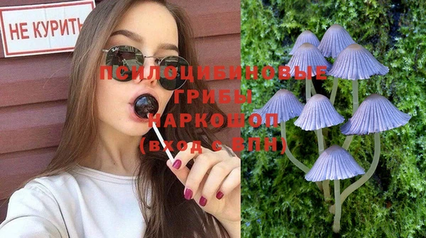соль ск Гусев